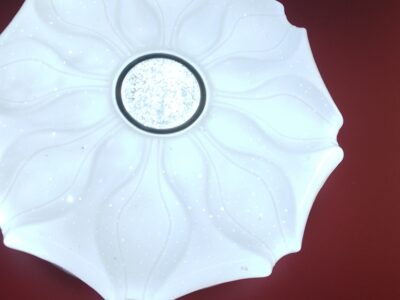 Ceiling light